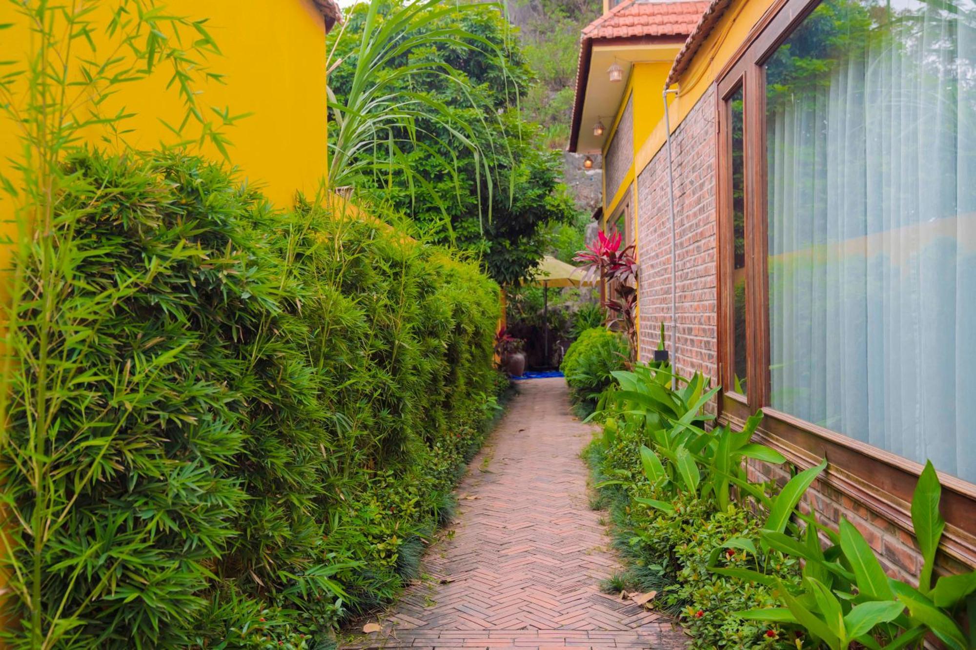 Apartamento Papaya Bungalow & Rice Fields Ninh Binh Exterior foto